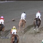 【競馬】レース後に「たぬき」がコースに乱入！　あわや競走馬と衝突…　過去にはレース中にトラクターが侵入した事例も  [jinjin★]