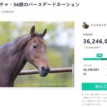 ナイスネイチャのバースデードネーションが過去最高の3600万円を突破！