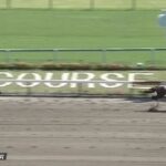【競馬】東京6R3歳1勝クラス 武豊騎乗のジュタロウが快勝