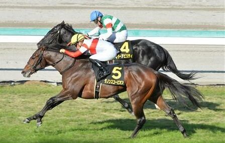 【競馬予想】第31回アーリントンカップ(GIII)  /2022