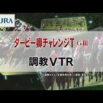 【調教動画】2022年 ダービー卿チャレンジトロフィー|JRA公式