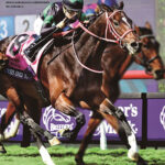 ヒーロー列伝 ラヴズオンリーユー&エフフォーリア