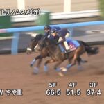 【阪神牝馬ステークス2022】追い切り/動きを見極め勝利に近づけ
