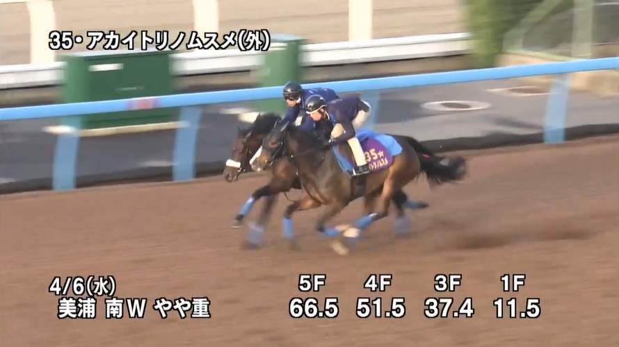 【阪神牝馬ステークス2022】追い切り/動きを見極め勝利に近づけ