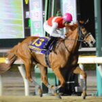 【マリーンC/船橋】ショウナンナデシコ強すぎワロタwww