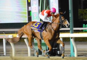 【マリーンC/船橋】ショウナンナデシコ強すぎワロタｗｗｗ