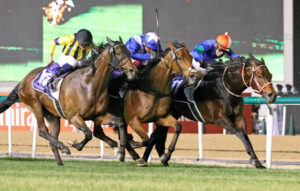 矢作厩舎ステイフーリッシュ、パンサラッサ、ユニコーンライオン凱旋門賞に登録