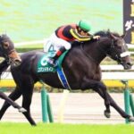 コマンドライン、コリエンテス、サンセットクラウド、ウィズグレイス←こいつら