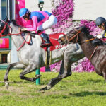 【阪神牝馬S】9番人気メイショウミモザが内粘りV!重賞初挑戦制覇