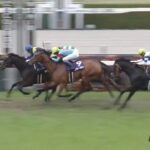 【競馬】大阪杯は吉田隼騎乗のポタジェがV