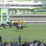 【競馬】オジュウチョウサンが中山グランドジャンプ6度目のV