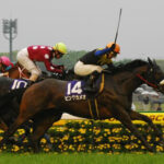 【訃報】07年NHKマイルC覇者 ピンクカメオ死去