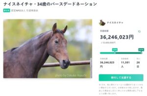 ナイスネイチャのバースデードネーションが過去最高の3600万円を突破