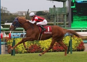 【大阪杯】ウインマリリン狙ってるやつ集合