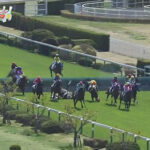 日曜の落馬事故で金子が記憶喪失、頸椎損傷 大江原は右鎖骨骨幹部骨折 小牧加は頭部打撲
