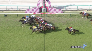 【桜花賞】１番人気ナミュールは不発…１０着に沈む　試練の横山武史騎手「思い描いたレースはできました」