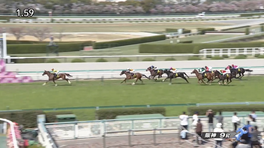 【忘れな草賞2022】結果・動画/アートハウスが３馬身差をつけ圧勝