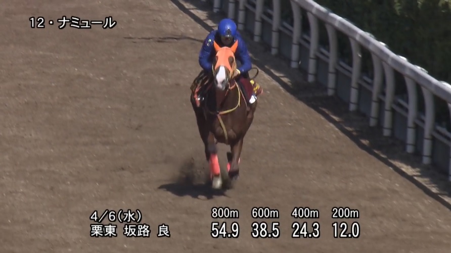 【桜花賞2022】追い切り/抜群の動きを見せたのは