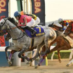 【競馬予想】第27回アンタレスステークス(GIII) /2022