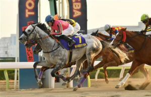 【競馬予想】第27回アンタレスステークス(GIII)  /2022