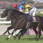 【桜花賞】スターズオンアース強すぎワロタwwwwwwwwwwwwwwwwwwww