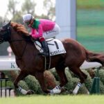 【競馬予想】ダービー卿チャレンジトロフィー(GⅢ) /2022