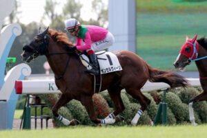 【競馬予想】ダービー卿チャレンジトロフィー(GⅢ)  /2022