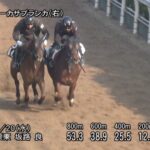 【福島牝馬ステークス2022】追い切り/動きを見極め勝利に近づけ