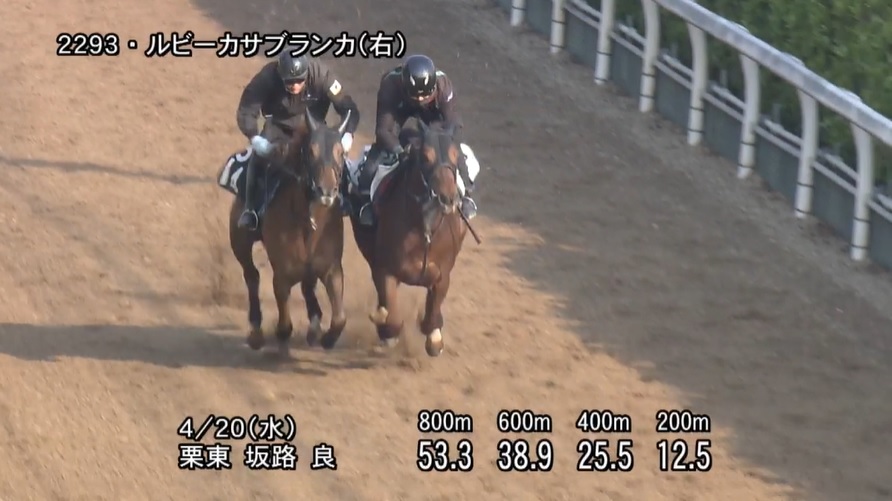 【福島牝馬ステークス2022】追い切り/動きを見極め勝利に近づけ