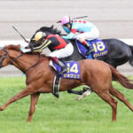 【皐月賞】5番人気のジオグリフが差し切りV!重賞2勝目G1制覇