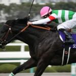 リオンディーズですら種牡馬として成功させてしまうキングカメハメハさん