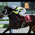 ダービー出走馬ゼロ、今年GI馬券内ゼロ ステゴ系は途絶える運命なのか