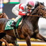 ダービー4強の中で飛ぶ馬
