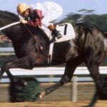 俺の親父「ハイセイコー嫌いです、ミスターシービー嫌いです、オグリキャップ嫌いです」←これ