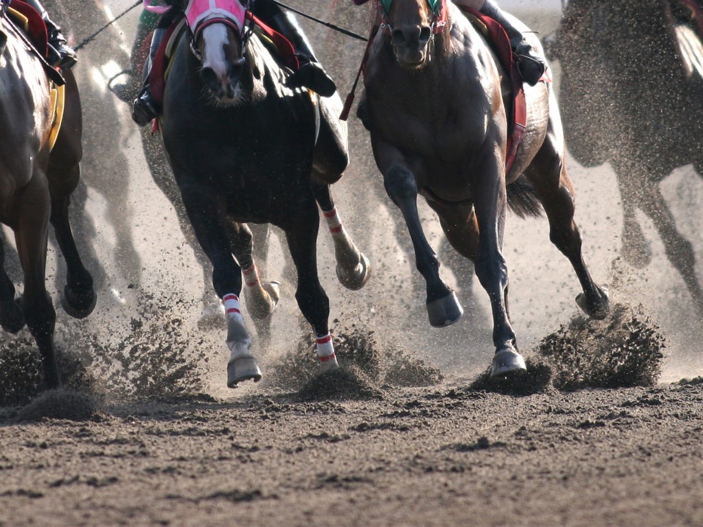 日本のダート馬が世界で通用するならどんどんアメリカに売却・遠征して行こうよ