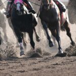 ダート馬を海外や地方にどんどん追放するJRA