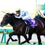 普通にドウデュースが勝ちそうな件