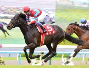 VMをキズナ産駒が勝ったらキズナ成功な