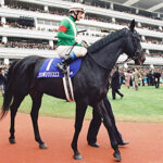 日本競馬史上一番カッコいい馬体の馬ってなに？