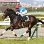 「こいつは強え…!」って青葉賞勝ち馬がアドミラブルまで遡る件