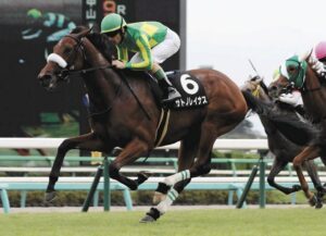 このソダシより遥かに強かったサトノレイナスｗｗｗ