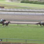 【鳴尾記念2022】出走予定馬・騎手/コース相性は?