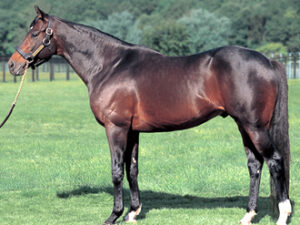 【朗報】ディープインパクト産駒が史上最速2600勝を達成！　サンデーサイレンスの記録を上回る快挙