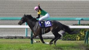 タイトルホルダーとパンサラッサで凱旋門挑戦←どっちか勝てるだろ