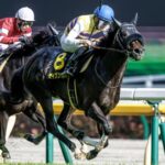 ダービー最終兵器 セイウンハーデス強すぎワロスwww