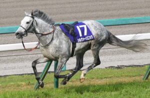 無意味な予想だけどシルヴァーソニック落馬無ければ何着だったと思う？