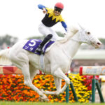 ソダシで馬券とった人へ。