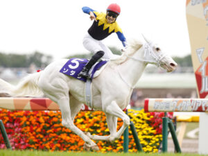 ソダシで馬券とった人へ。