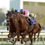 ダイワで3番目に思いついた冠名、競馬板全員一致する説