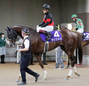 【NHKマイルC】セリフォスとはなんだったのか